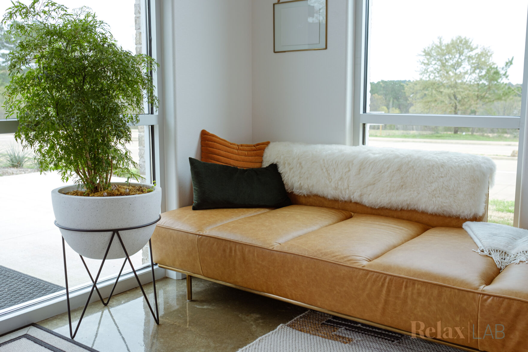 Relax Lab_00113.jpg